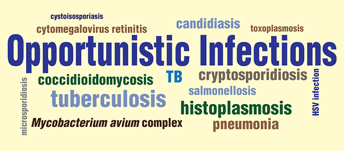 hiv-associated-infections-based-on-cd4-count-diagnosis-grepmed