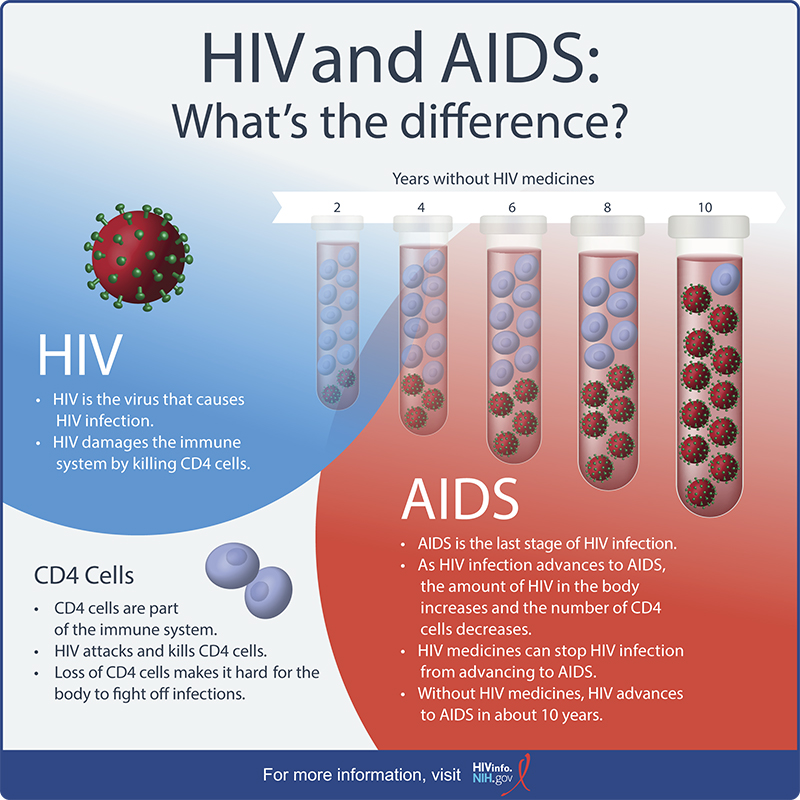 Hiv And Aids What’s The Difference Hivinfo