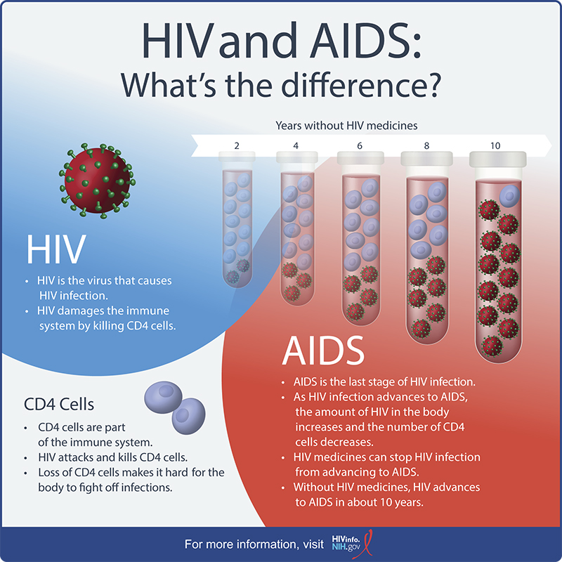 HIV And AIDS What s The Difference HIVINFO