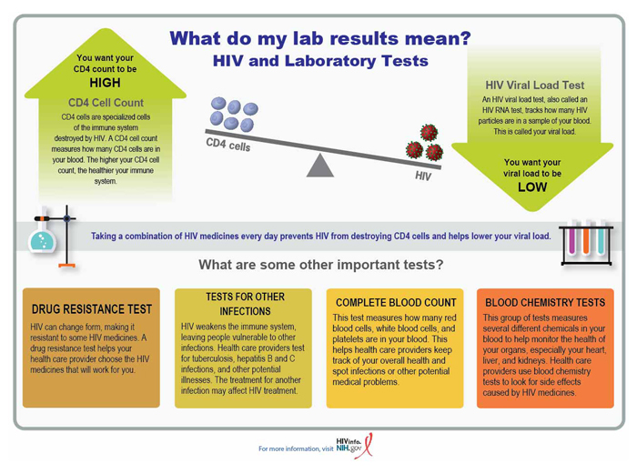 What Do My Lab Results Mean Nih 4364