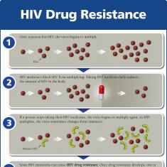 Infographic | HIVINFO