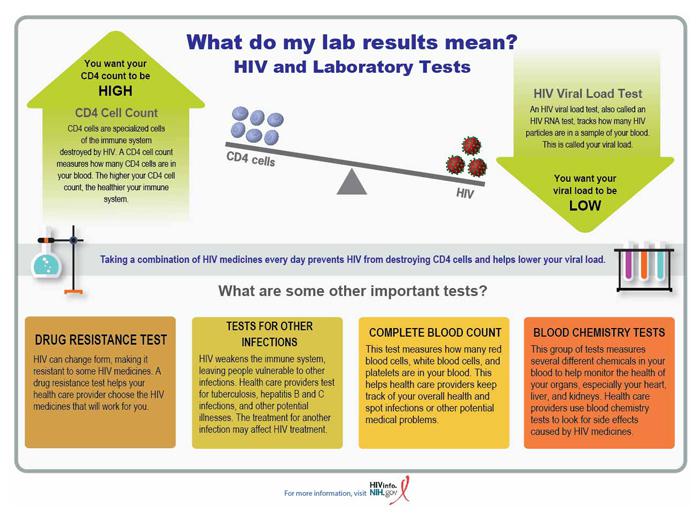 What Do My Lab Results Mean Nih 1333