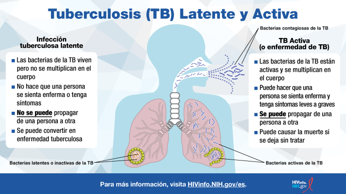 Aprende la diferencia entre los dos estados de infección por TB, tuberculosis latente y activa.
