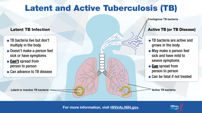 Learn the difference between the two states of TB infection, Latent and Active Tuberculosis.