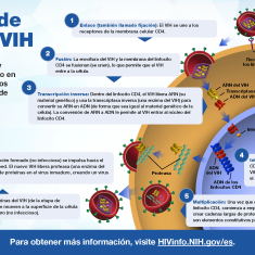 El ciclo de vida del VIH
