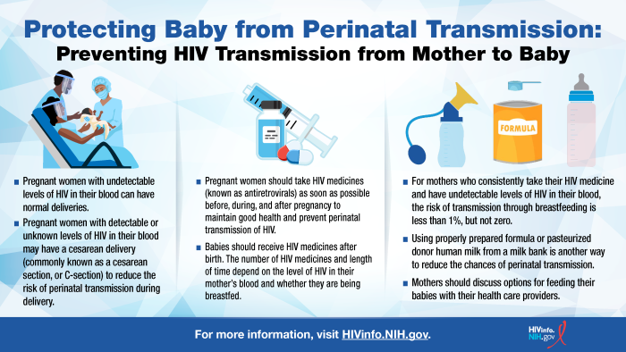 Learn about ways to prevent perinatal transmission of HIV.